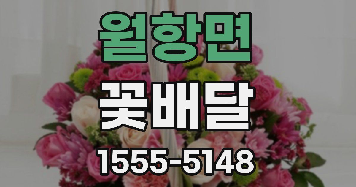 월항면 꽃배달