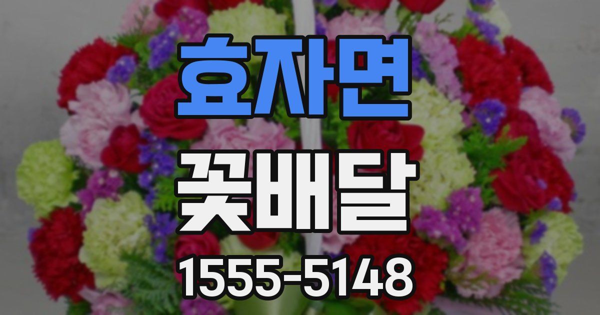 효자면 꽃배달