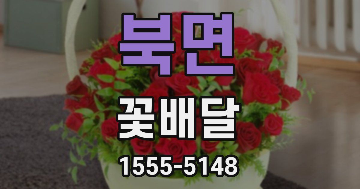 북면 꽃배달