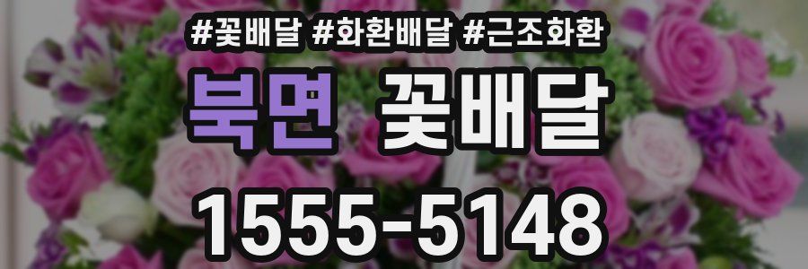 북면 꽃배달