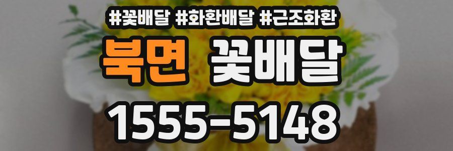 북면 꽃배달