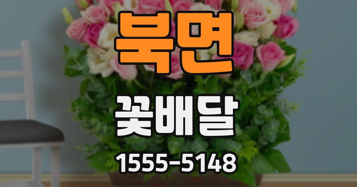 북면 꽃배달