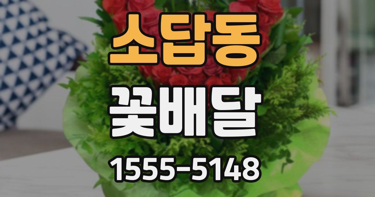 소답동 꽃배달