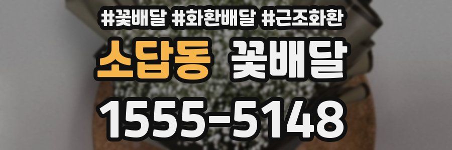 소답동 꽃배달