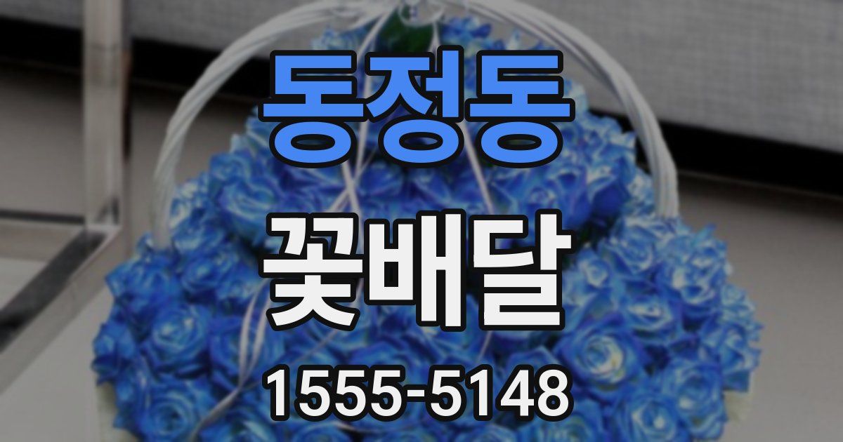 동정동 꽃배달