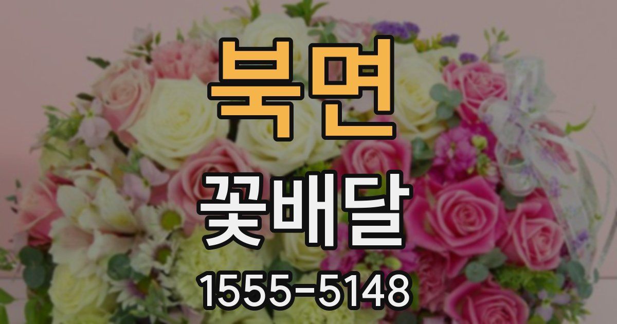 북면 꽃배달