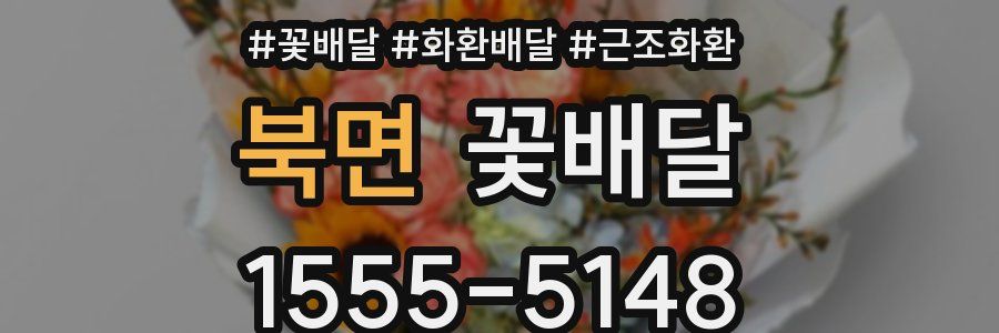 북면 꽃배달