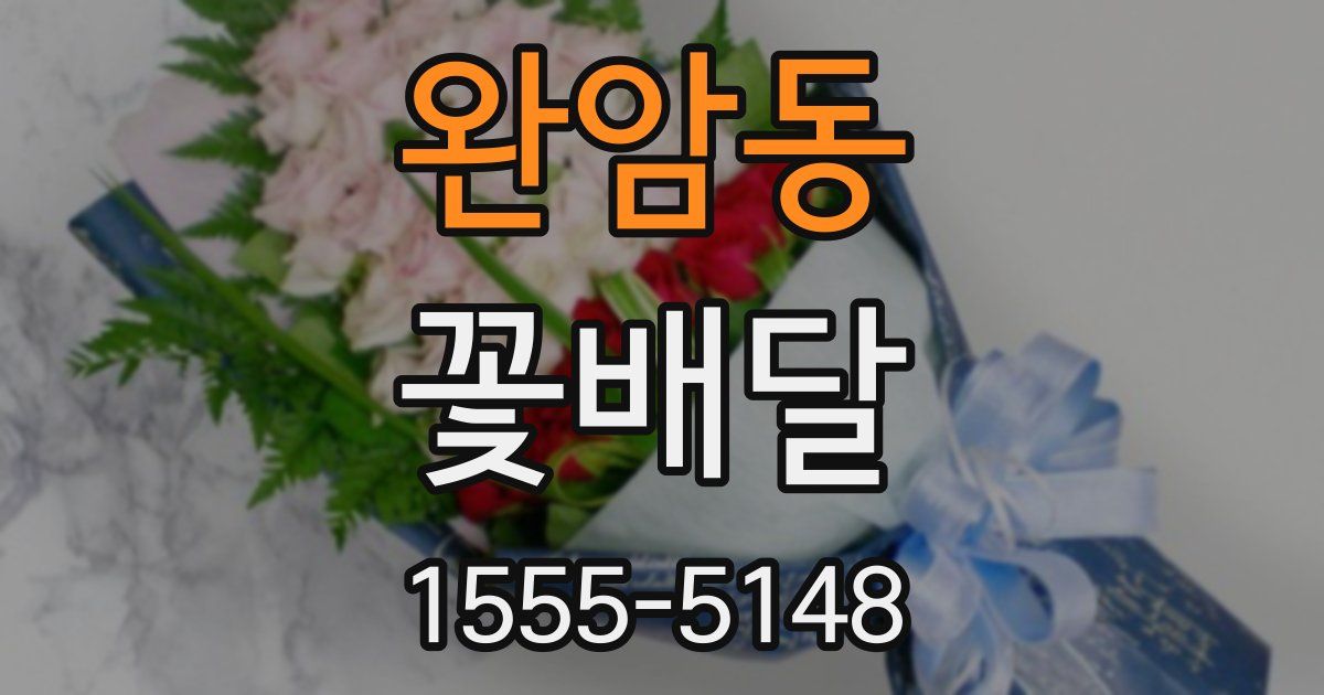 완암동 꽃배달