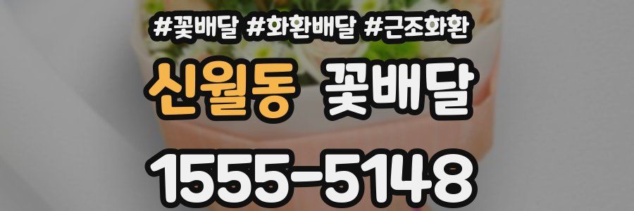 신월동 꽃배달