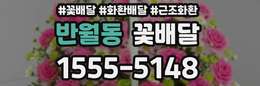 반월동 꽃배달