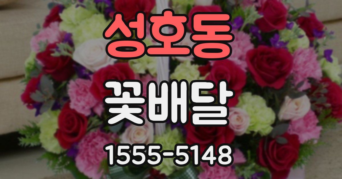 성호동 꽃배달