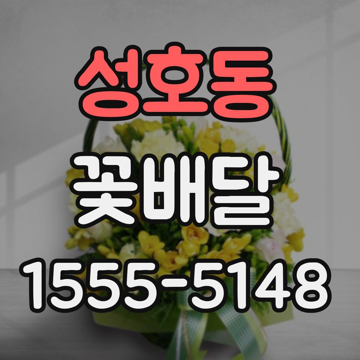 성호동 꽃배달