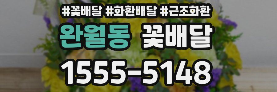 완월동 꽃배달