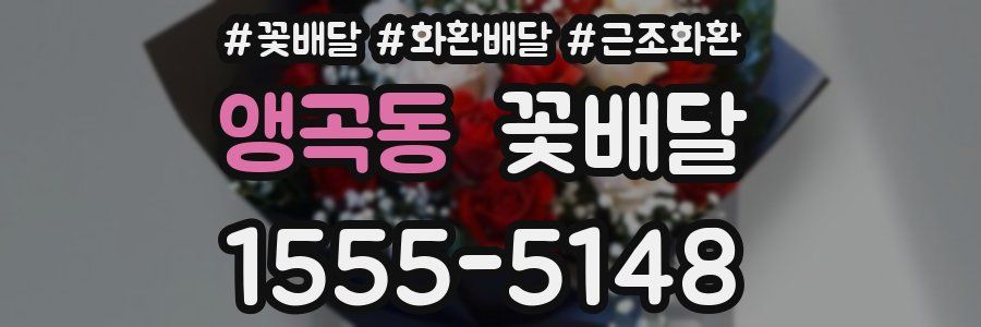 앵곡동 꽃배달