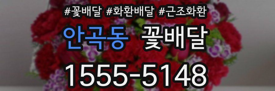 안곡동 꽃배달