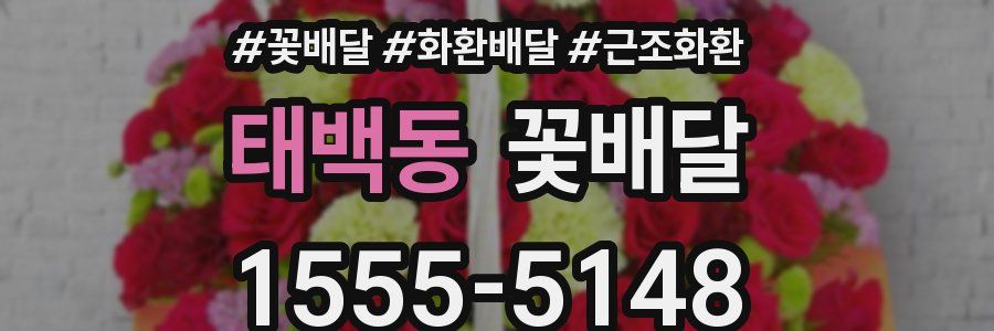 태백동 꽃배달