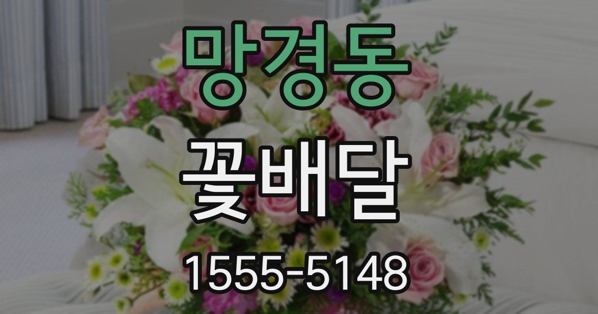 망경동 꽃배달