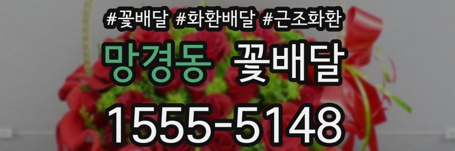 망경동 꽃배달