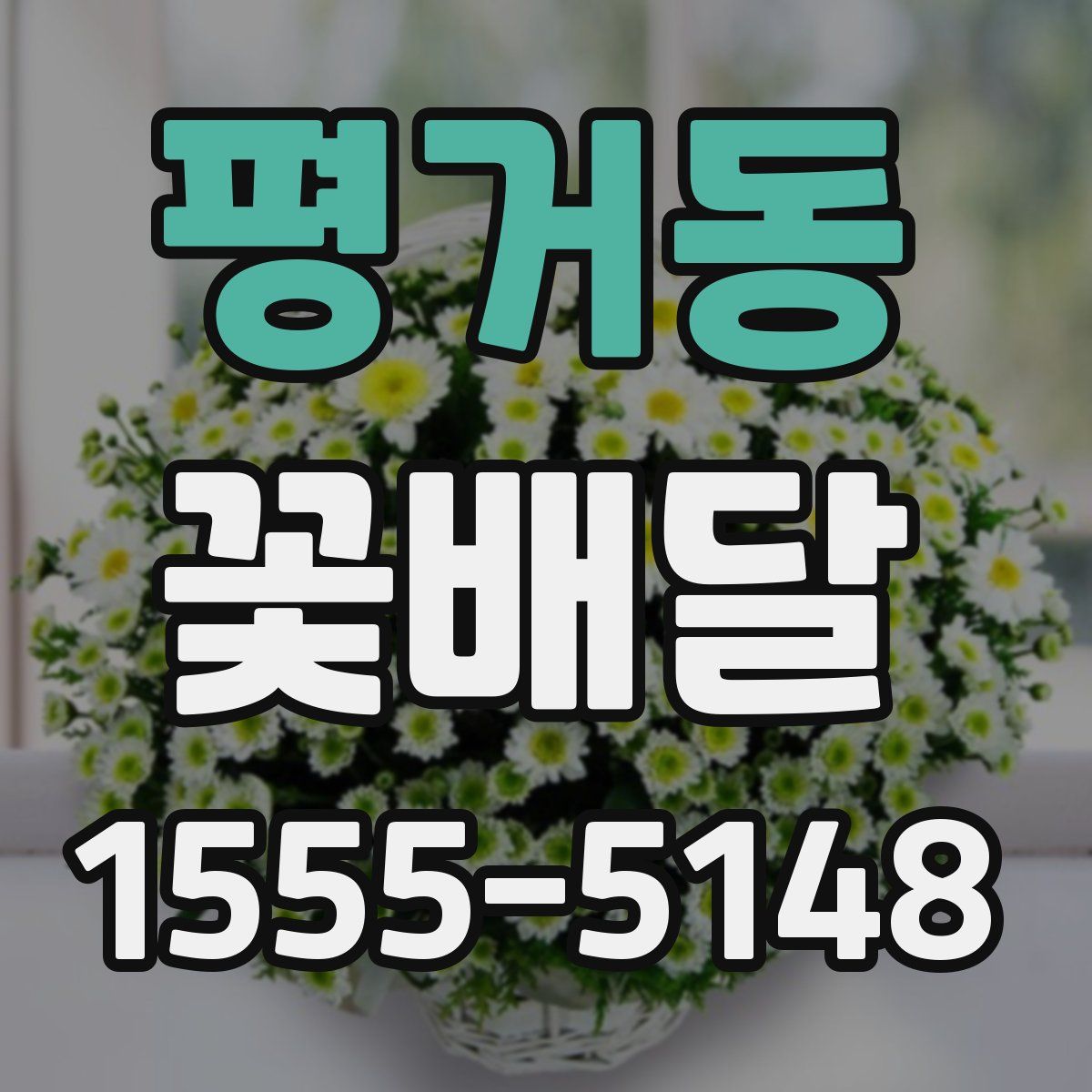 평거동 꽃배달