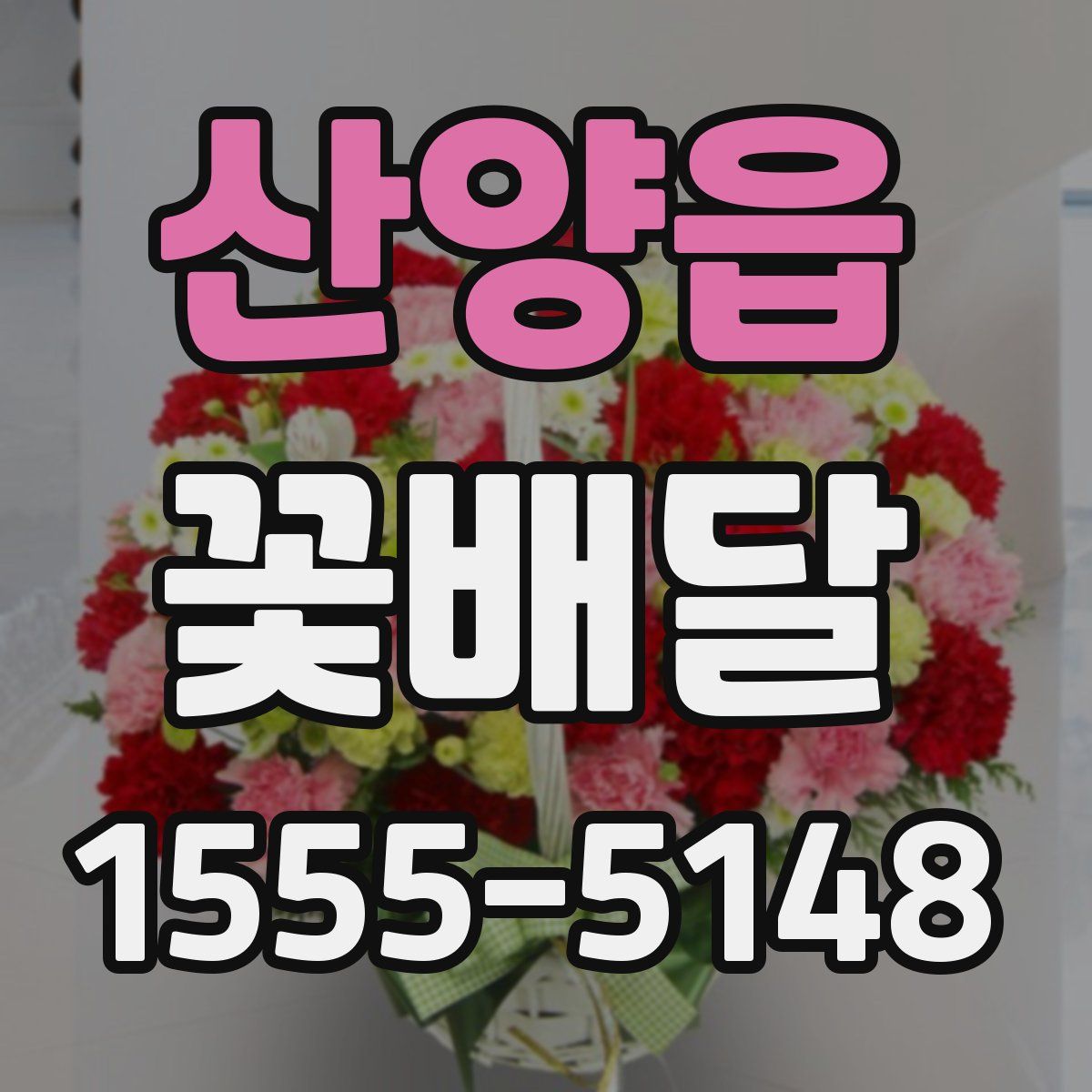 산양읍 꽃배달