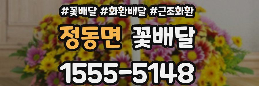정동면 꽃배달