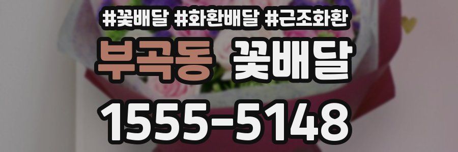 부곡동 꽃배달