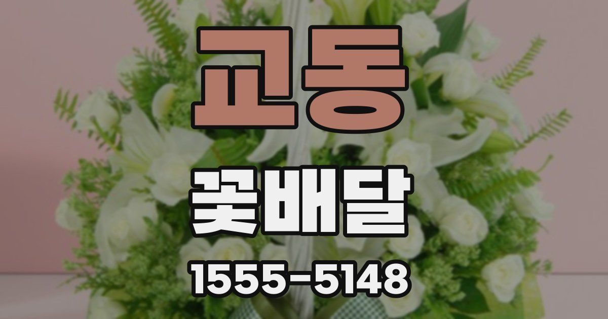 교동 꽃배달