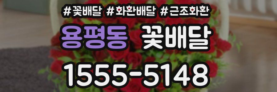 용평동 꽃배달