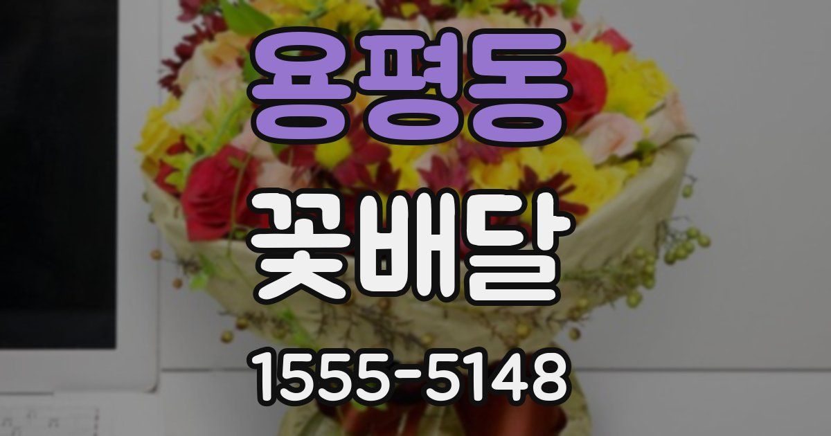 용평동 꽃배달