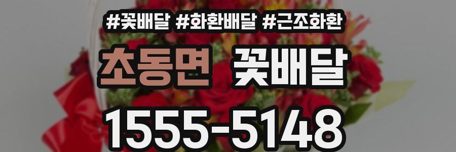 초동면 꽃배달