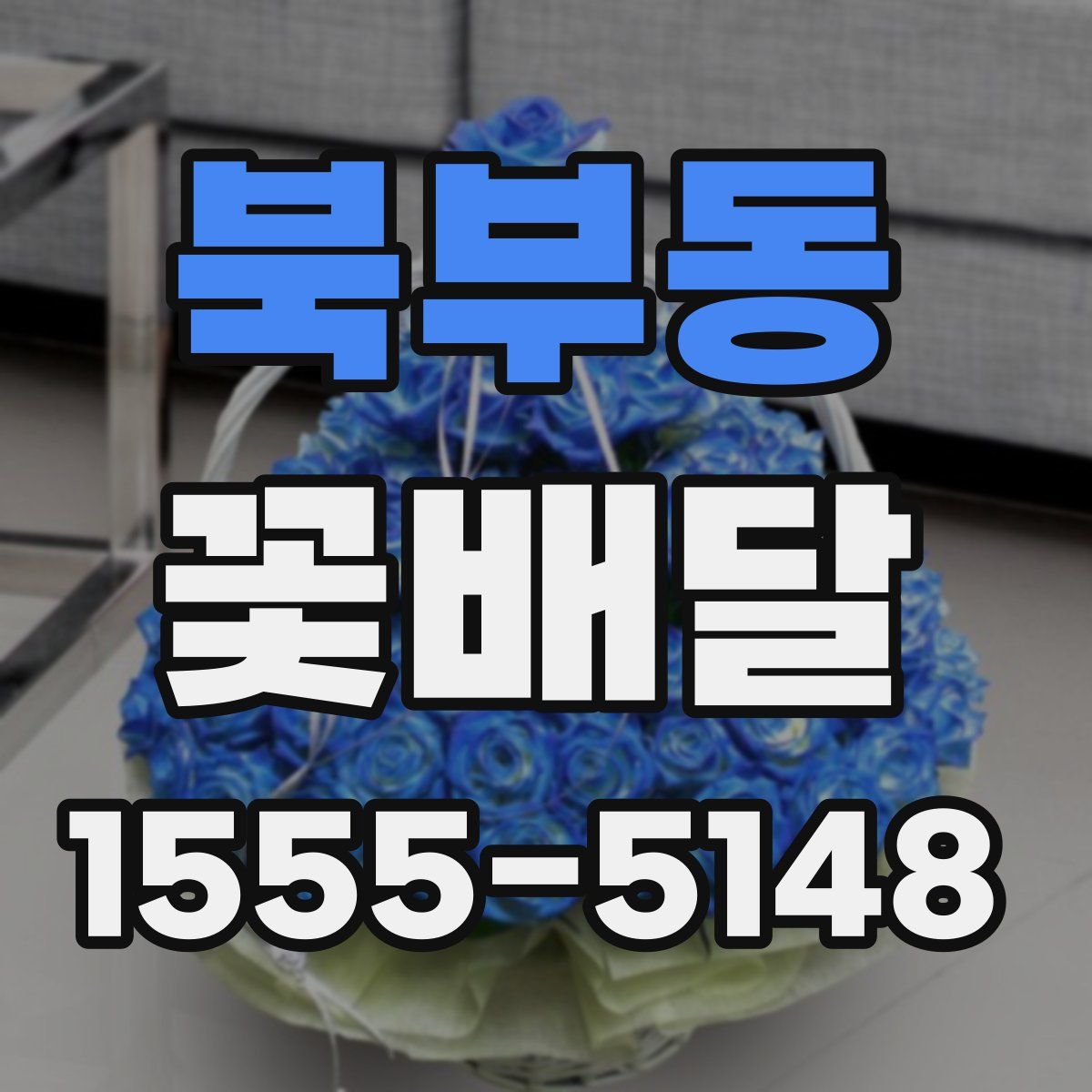 북부동 꽃배달
