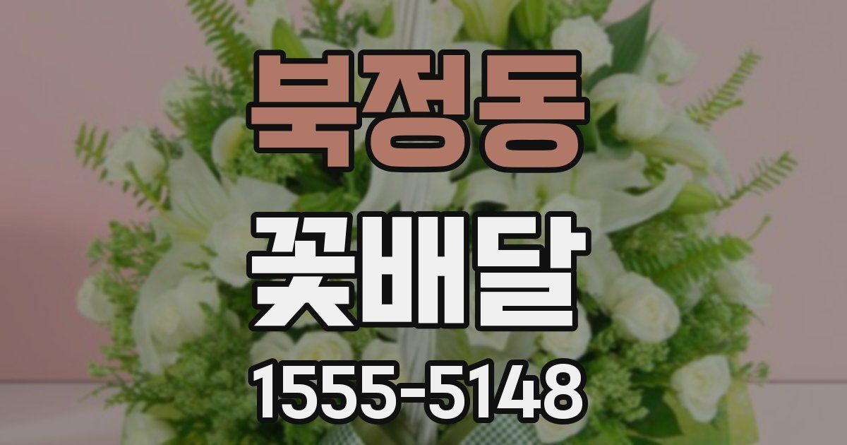 북정동 꽃배달