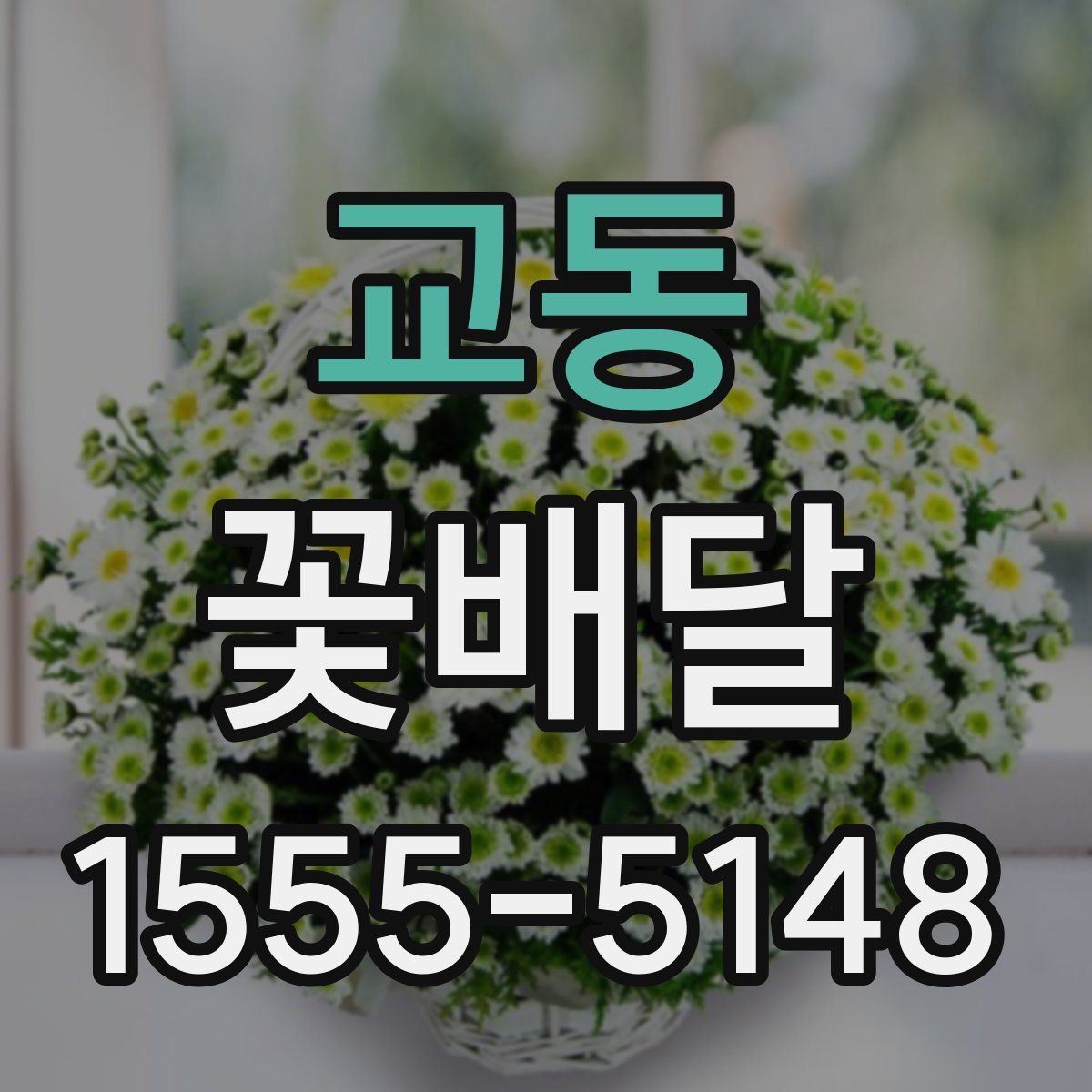 교동 꽃배달