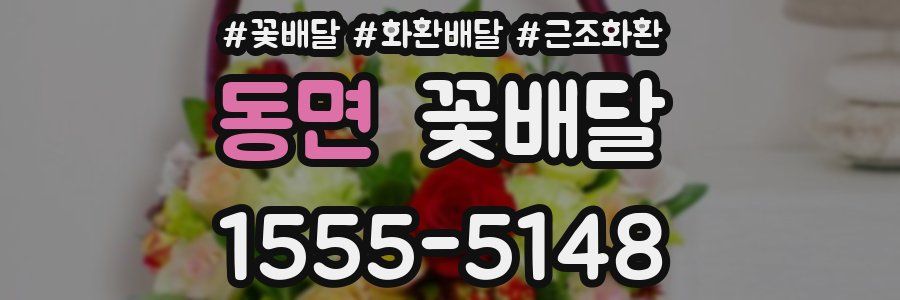 동면 꽃배달
