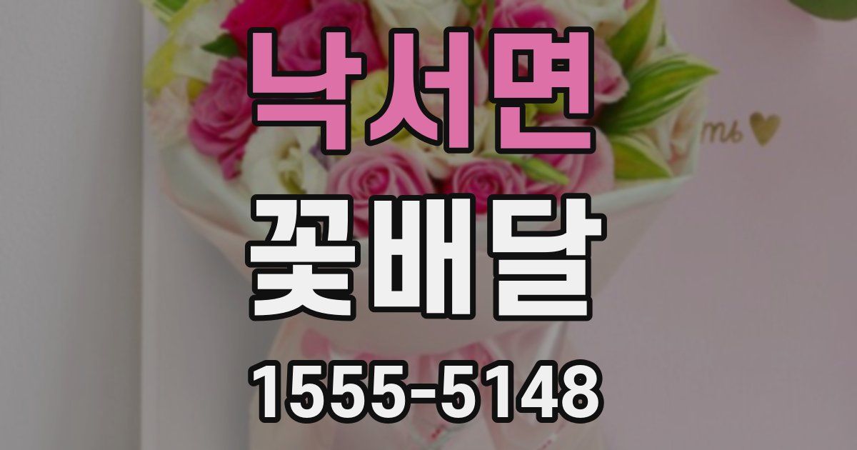 낙서면 꽃배달