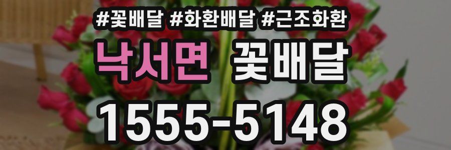 낙서면 꽃배달