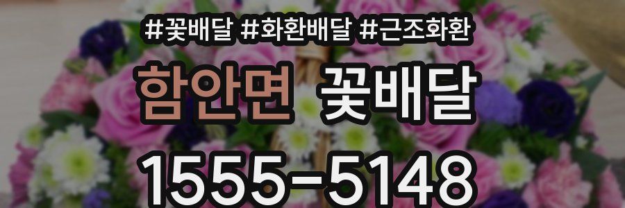 함안면 꽃배달
