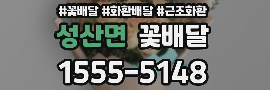 성산면 꽃배달