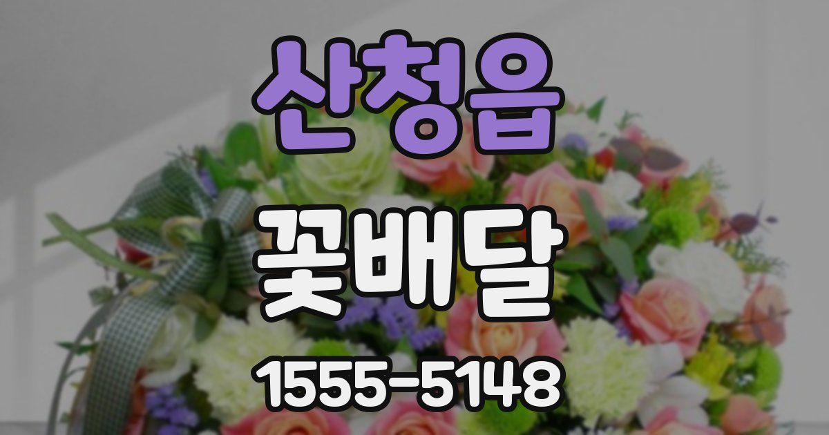 산청읍 꽃배달
