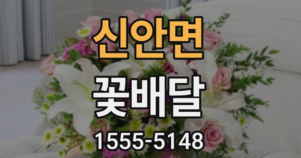신안면 꽃배달