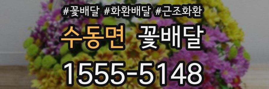 수동면 꽃배달