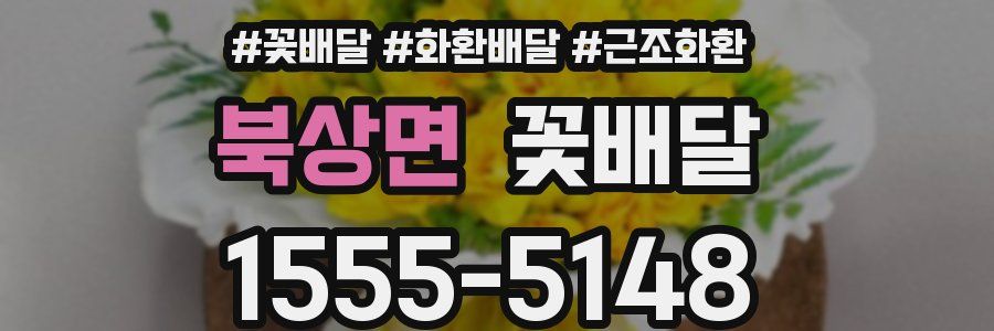 북상면 꽃배달