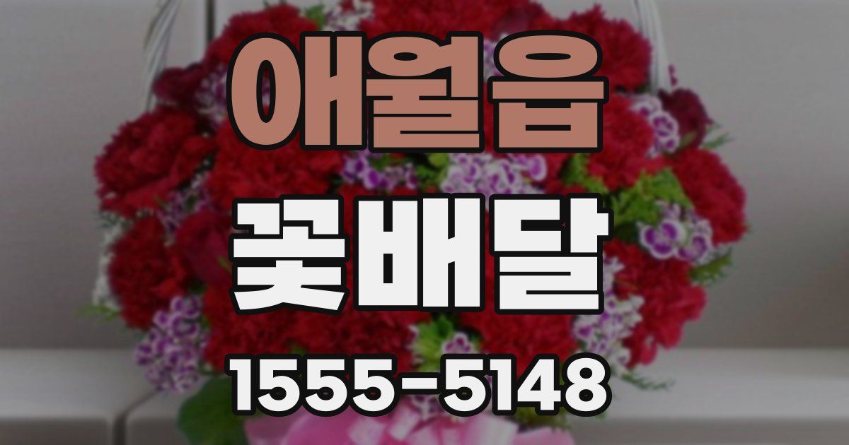 애월읍 꽃배달