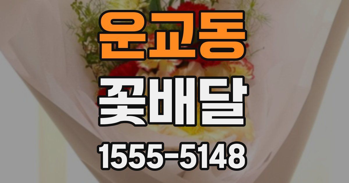 운교동 꽃배달