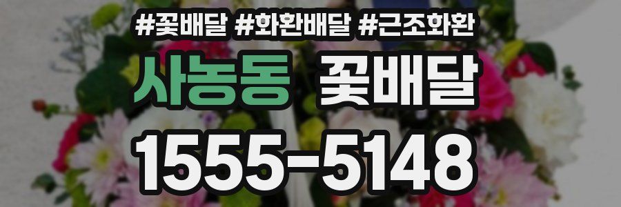 사농동 꽃배달
