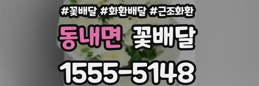 동내면 꽃배달