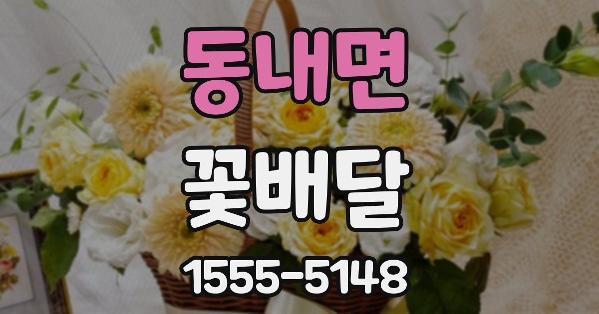 동내면 꽃배달