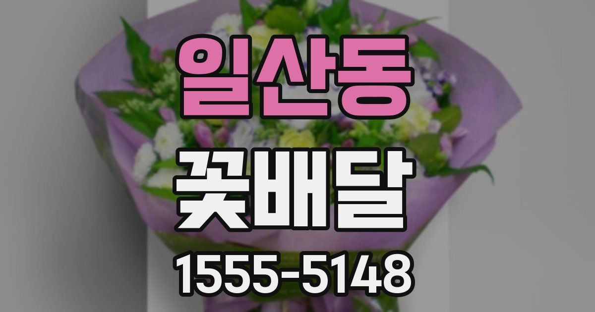 일산동 꽃배달
