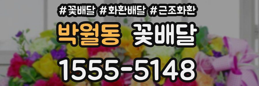 박월동 꽃배달