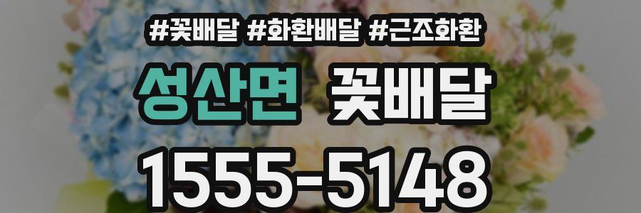 성산면 꽃배달